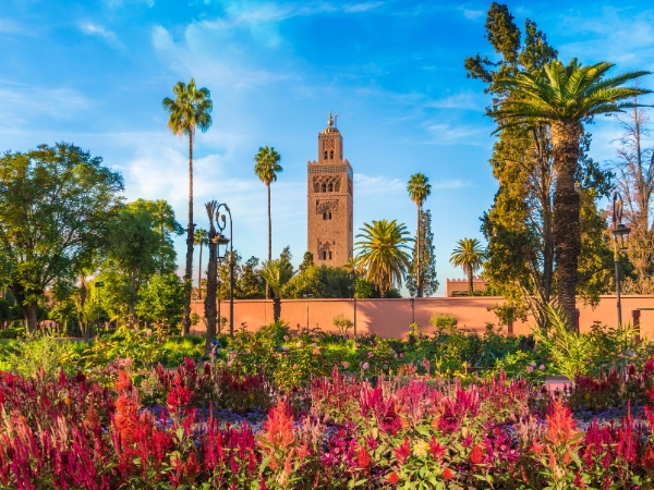 Seasonal Morocco Road Trip Planning for French Visitors